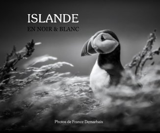 Islande en noir et blanc book cover